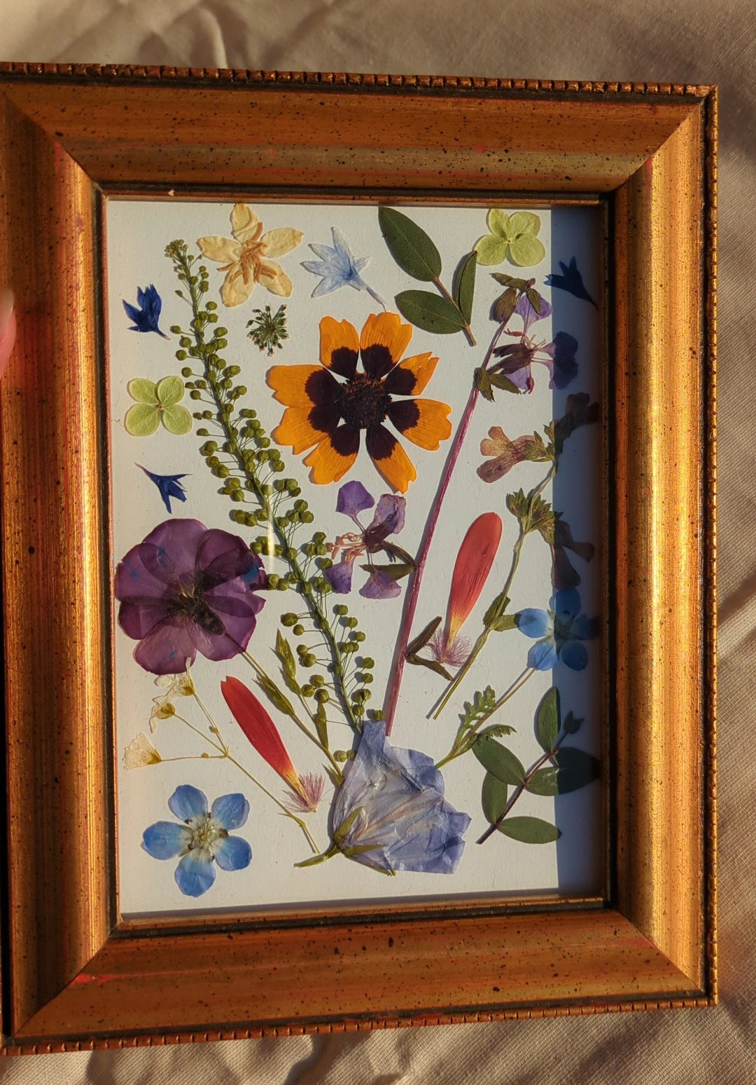 Wild Flower Pressed Flower Frame