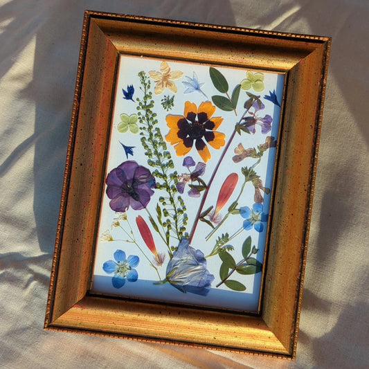 Wild Flower Pressed Flower Frame
